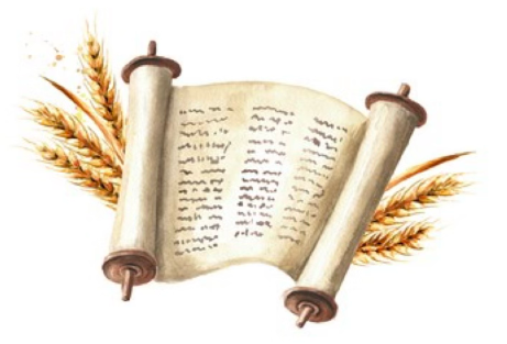 Shema Debar Ministries — Torah scroll with wheat